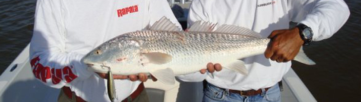 Capt Ron Hueston, Deep sea fishing charters